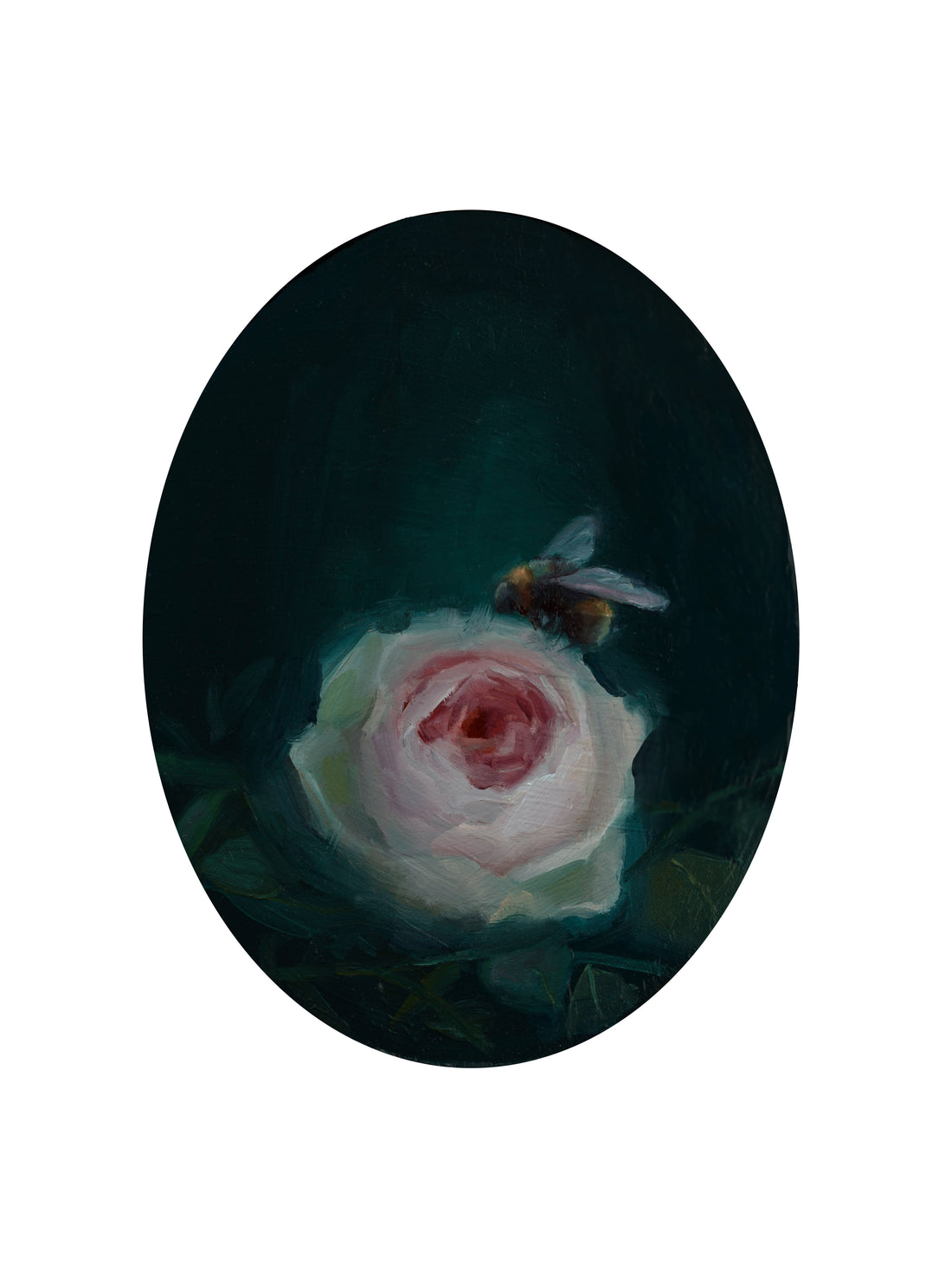Midnight Bloom