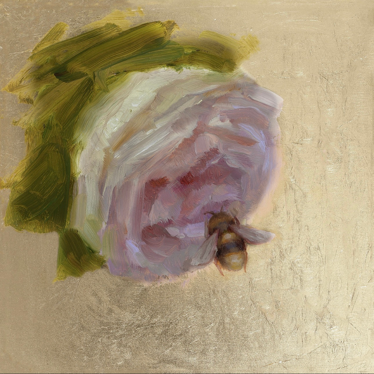 DREAMS 2026 NEW COLLECTION