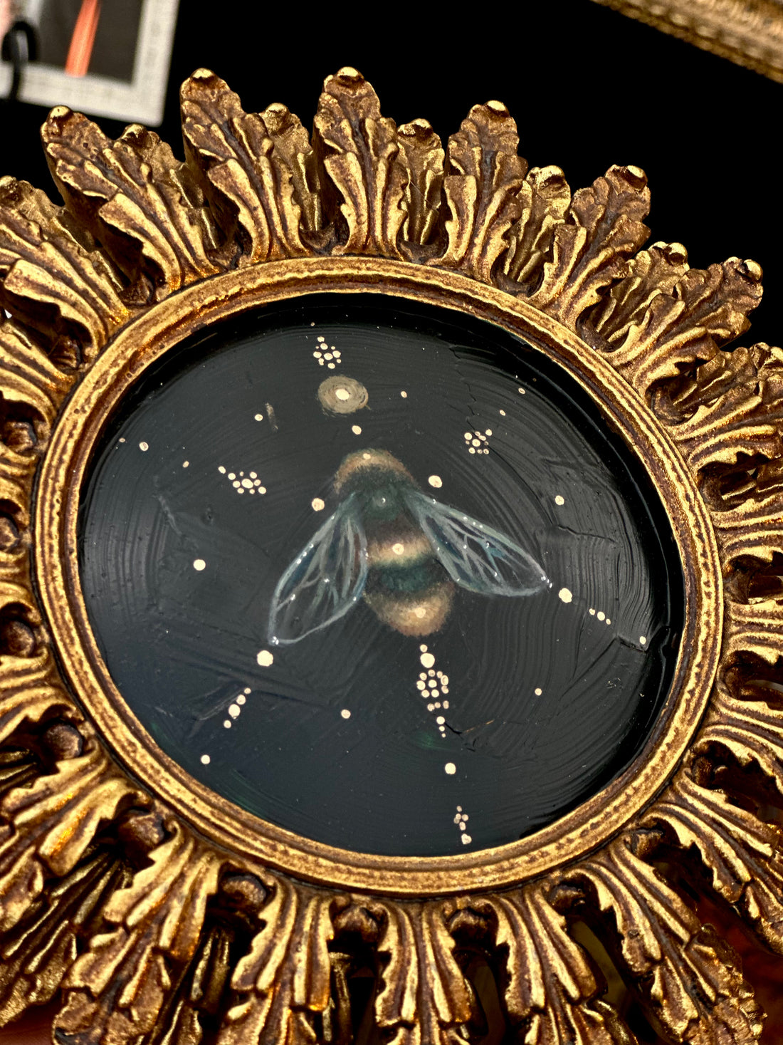 Cosmo Bee