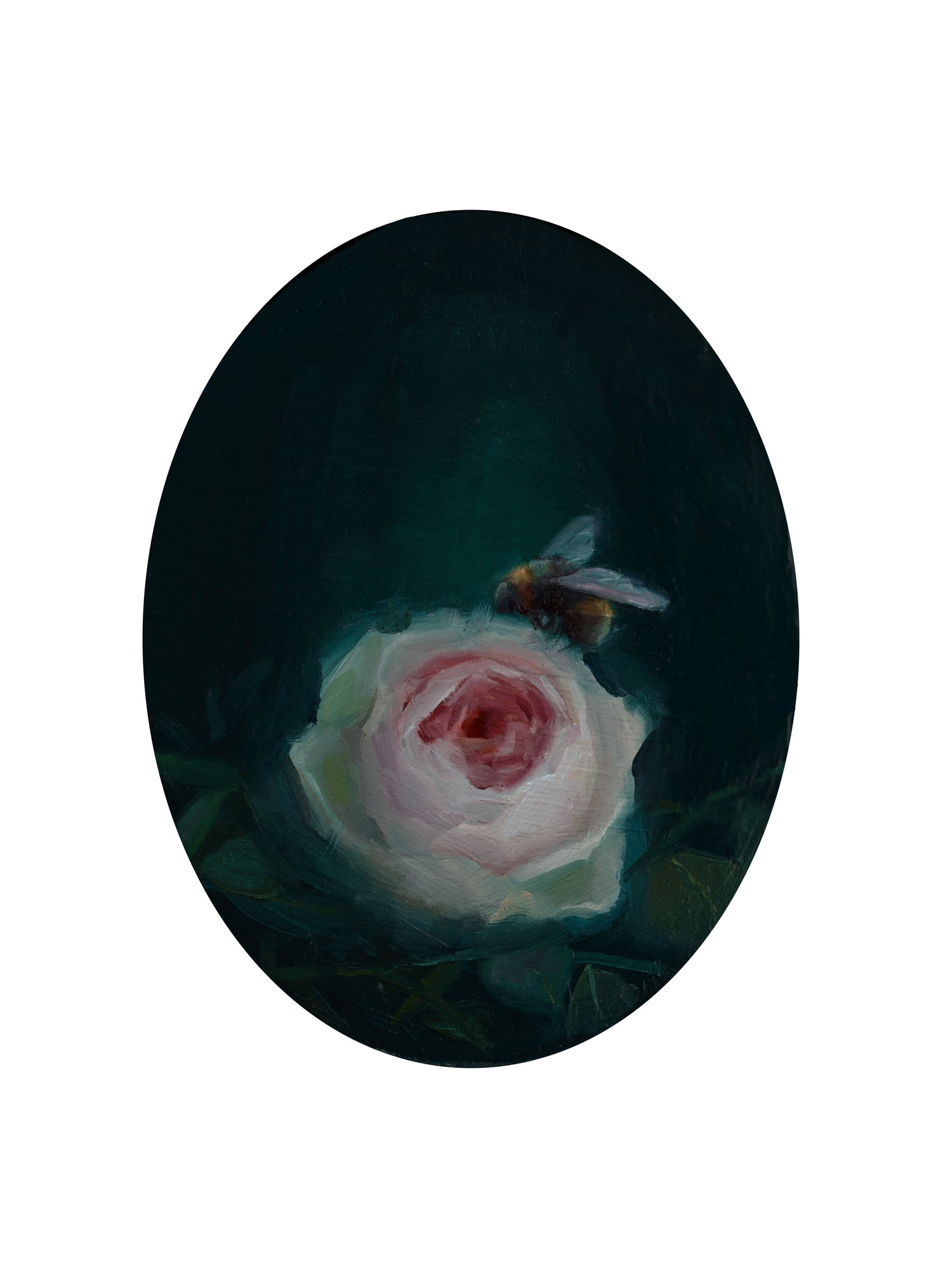 Midnight Bloom